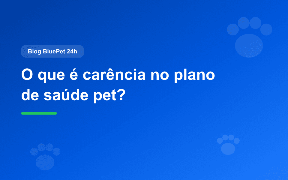 🐾 O que é carência no plano de saúde pet? Carência no plano de saúde pet: o que é, por que existe e o que verificar