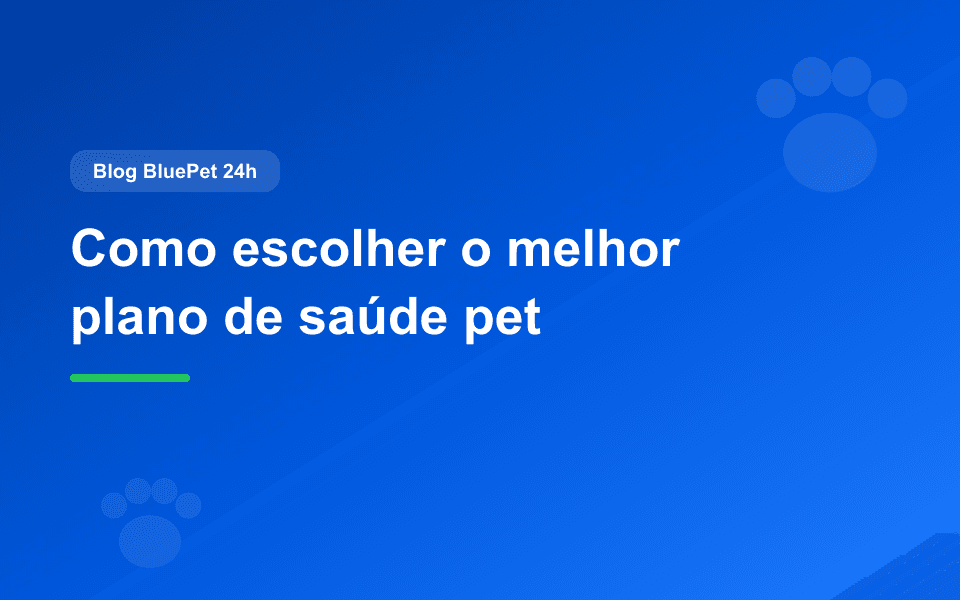 🐾 Como escolher o melhor plano de saúde pet Como escolher o melhor plano de saúde pet