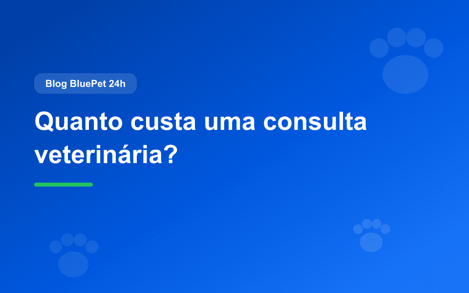 🐾 Quanto custa uma consulta veterinária? Quanto custa uma consulta veterinária? Valores e como se planejar